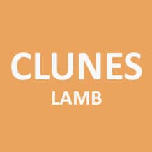 Clunes Lamb 1