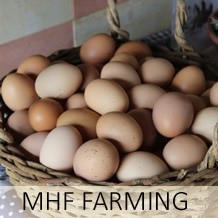 MHF Farming