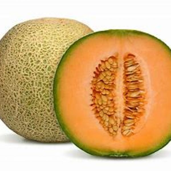 Canteloupe Melon