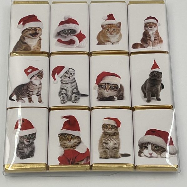 Christmas cat chocolates house of Dorchester cat love crazy cat lady